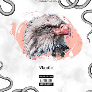 Águila