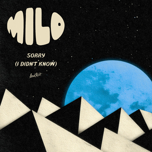 Sorry (I Didn't Know)