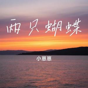 两只蝴蝶 (Cover 庞龙)