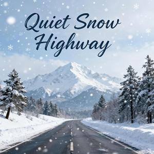 Arctic Midnight Flow（极夜冷流）