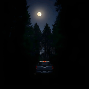 Under The Pines