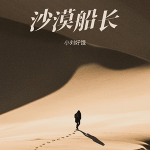 沙漠船长