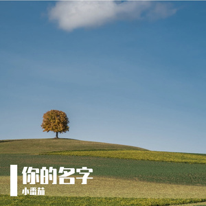 你的名字