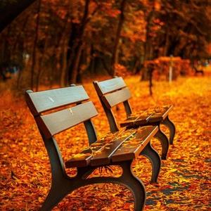 benching