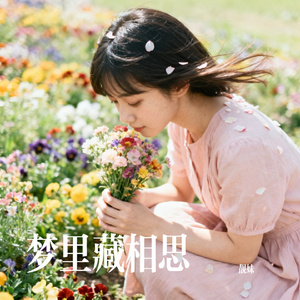 梦里藏相思