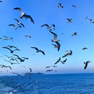 （三国励志篇）