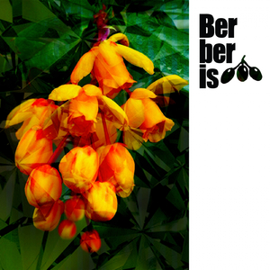 Don't Funk With Me (Original Mix)