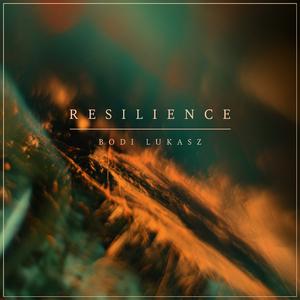Resilience