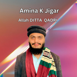Amina K Jigar
