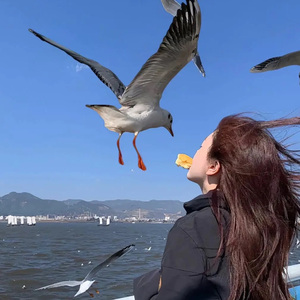 精卫（热播版）