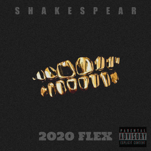 2020 FLEX