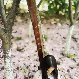 【古筝】云水禅心