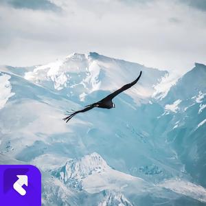 青春的模样 (Demo)