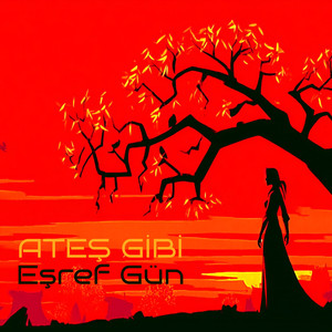 Ateş Gibi