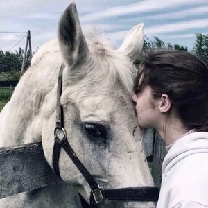 是杨宏博宇1.wav