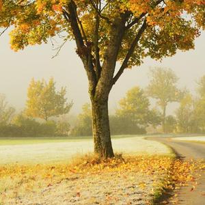 逃离(Prod.Jianastic.X)