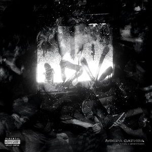 Афера сатива