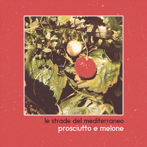 Prosciutto e melone