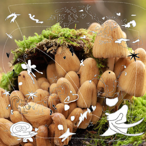 그 곳을 사랑해