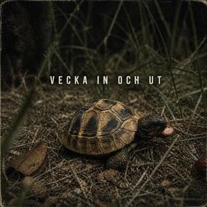 Vecka in och ut