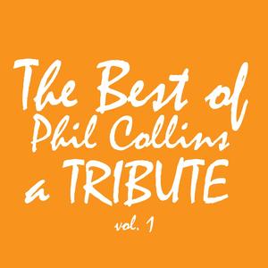 Don't Lose My Number