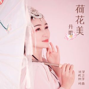 荷花美
