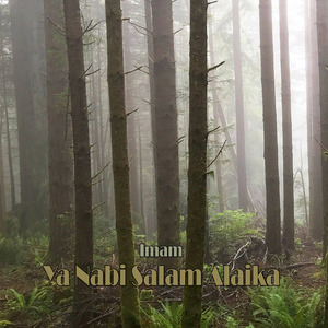 Ya Nabi Salam Alaika