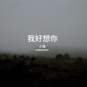 我好想你