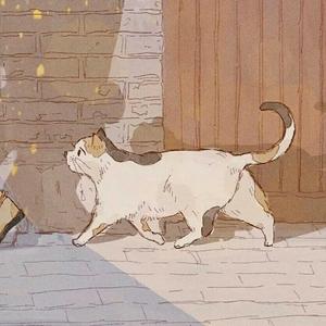 男孩别哭（翻自 群星）