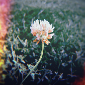 Spaced Out [Bobcast Live Mix Edit]