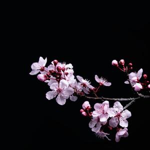 费玉清-一剪梅remix（#Number7 remix）