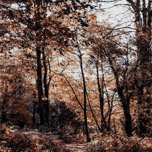 减压放松疗愈音乐（钢琴）