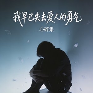 我早已失去爱人的勇气.mp3