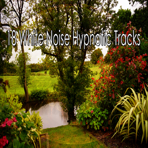 用聲音喚醒您的感官