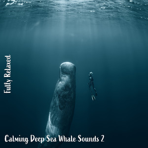 Calming Deep Sea Whale Sounds, Pt. 8