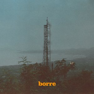 Borre