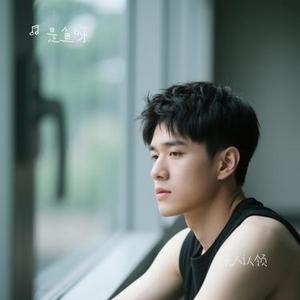 无人认领 (Cover 大头针)