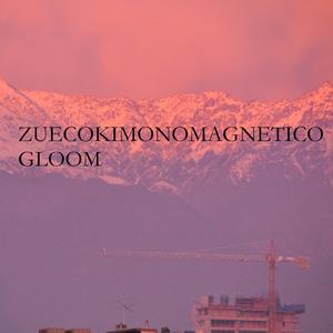 Blackhole Surface Dimension