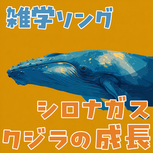 シロナガスクジラの成長