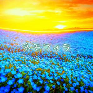 ネモフィラ