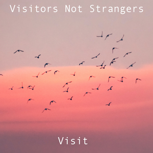 Visit