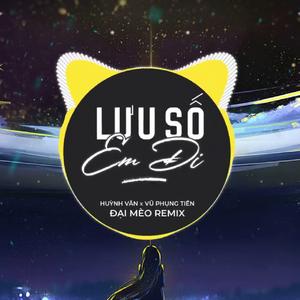 Lưu Số Em Đi (Đại Mèo Remix)