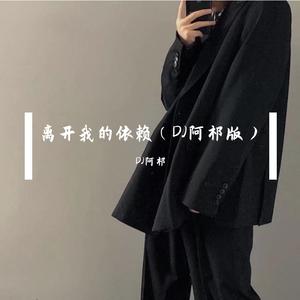 离开我的依赖（DJ阿祁版）