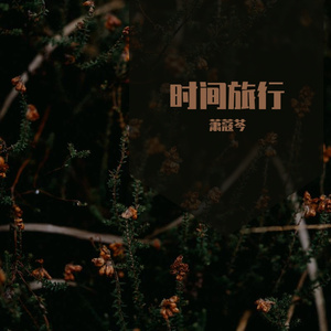 时间旅行