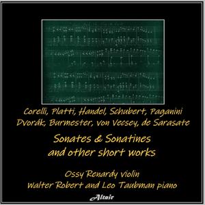 Violin Sonata NO. 1 in D Major, OP.137 No.1: II. Andante