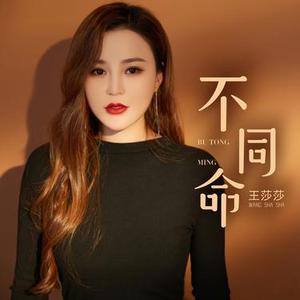 不同命 (DJ版)