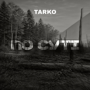По суті