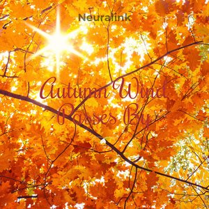 It\'s Too Windy On This Road