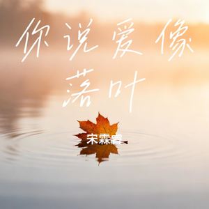 你说爱像落叶