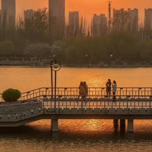 铃声多多_- Someone You Loved._于歡._裁剪_变调变速_音质